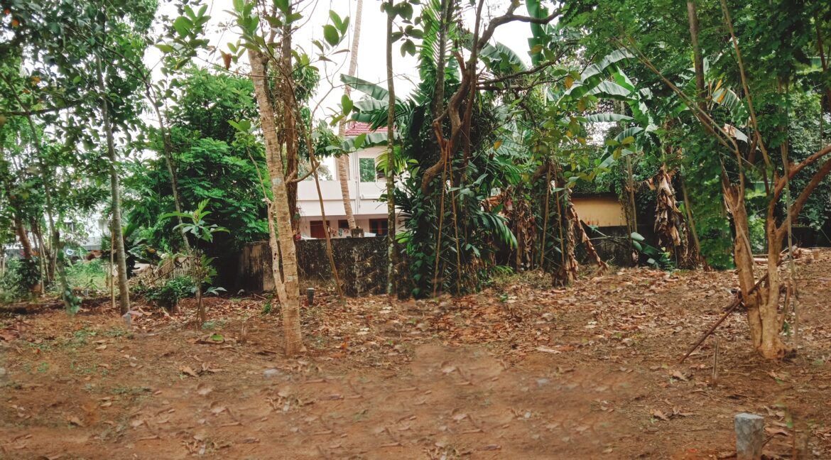 PicsArt_03-29-08.01.23-01