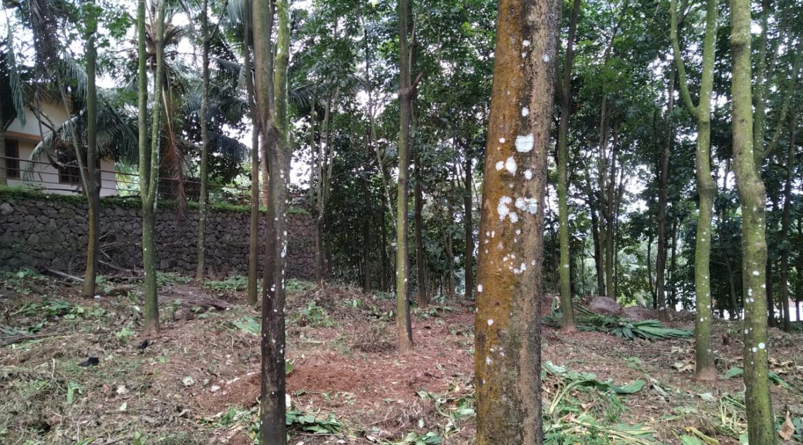 PHOTO-2021-06-18-09-13-43 (1)