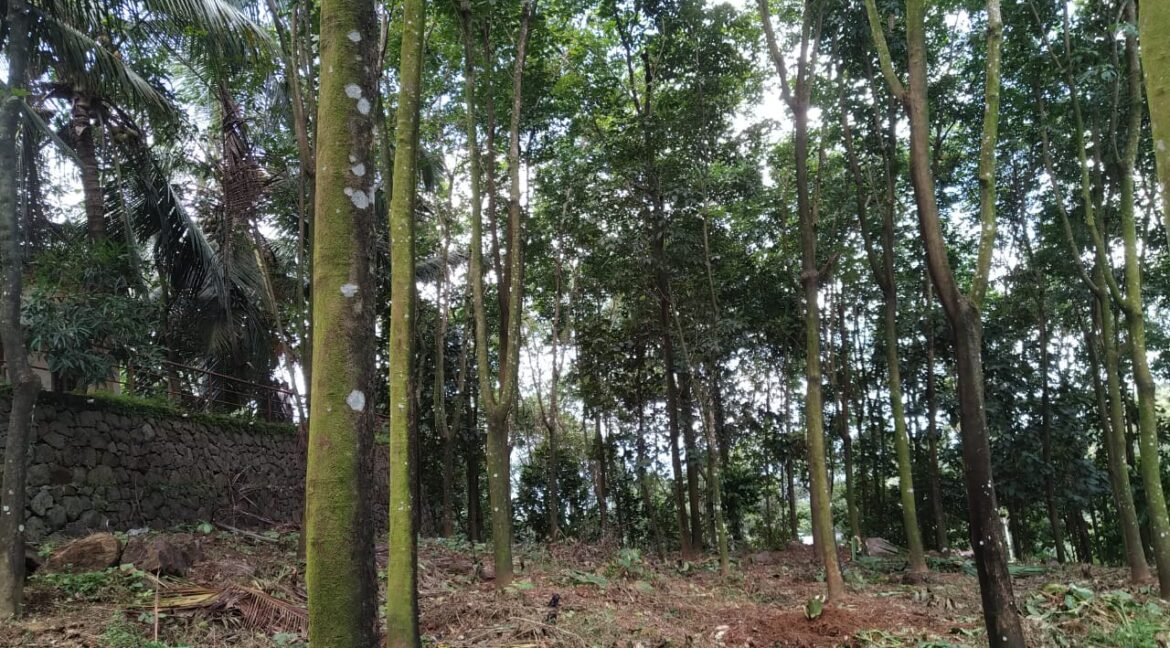 PHOTO-2021-06-18-09-13-45 (1)