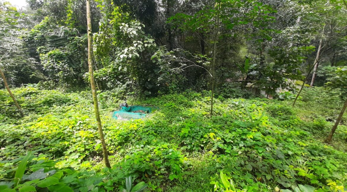 WhatsApp Image 2022-08-23 at 12.15.31 PM(1)