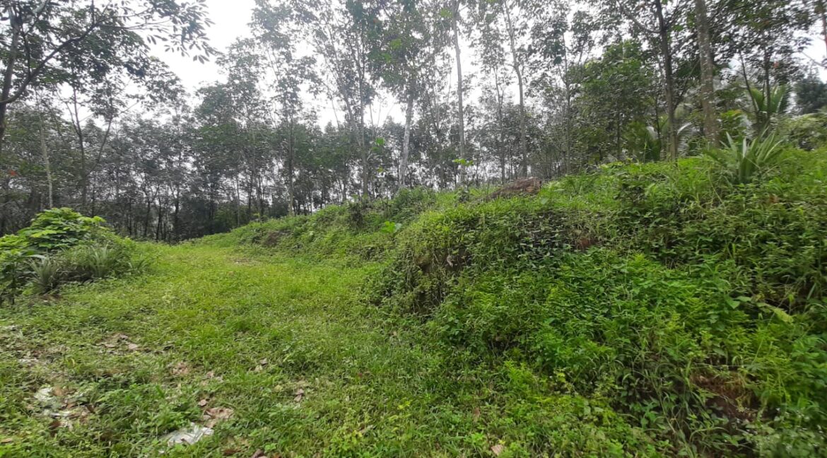 WhatsApp Image 2022-08-23 at 12.15.33 PM