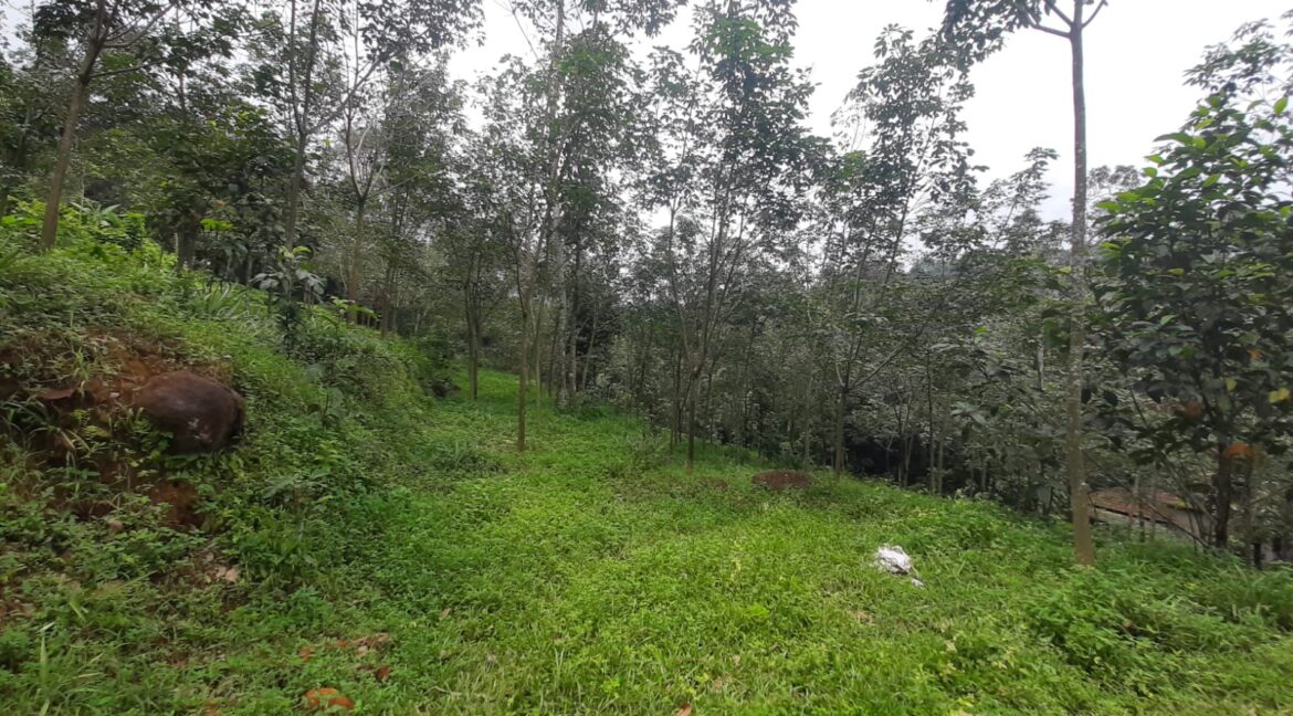 WhatsApp Image 2022-08-23 at 12.15.34 PM