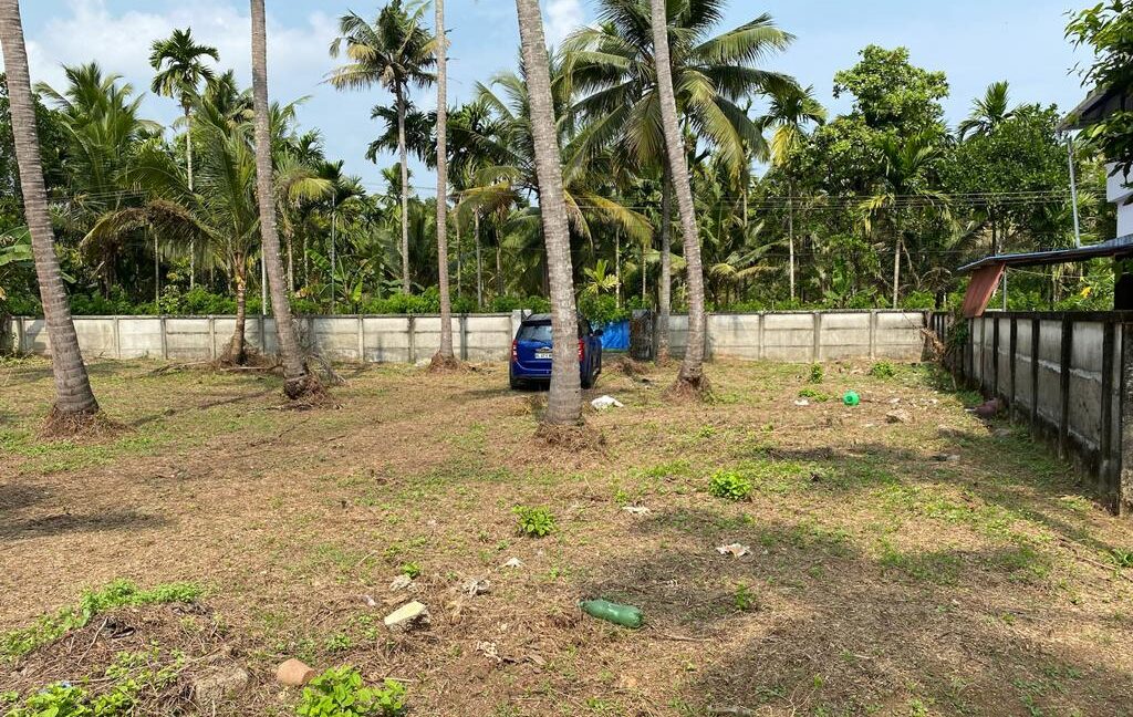 Padiyoor Land 3