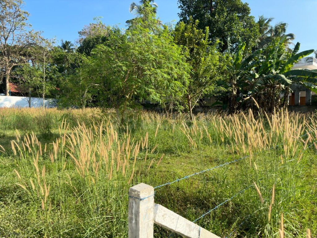 The Residential Land for Sale at Olari, Chettupuzha, Thrissur